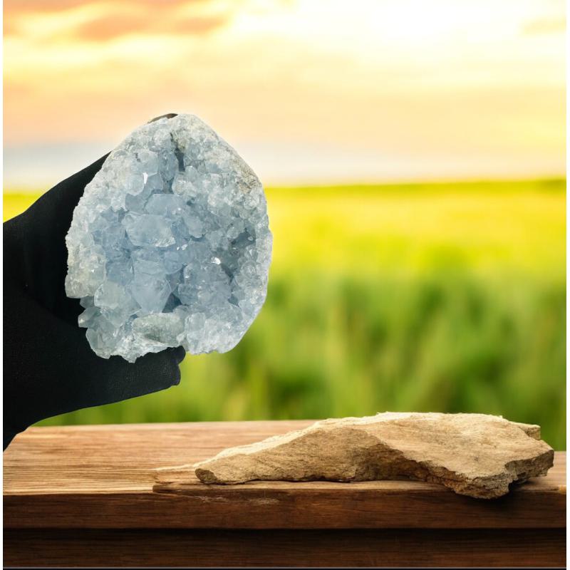 Geoda Celestina Ref. 10