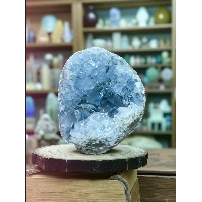 Geoda Celestina Ref.15