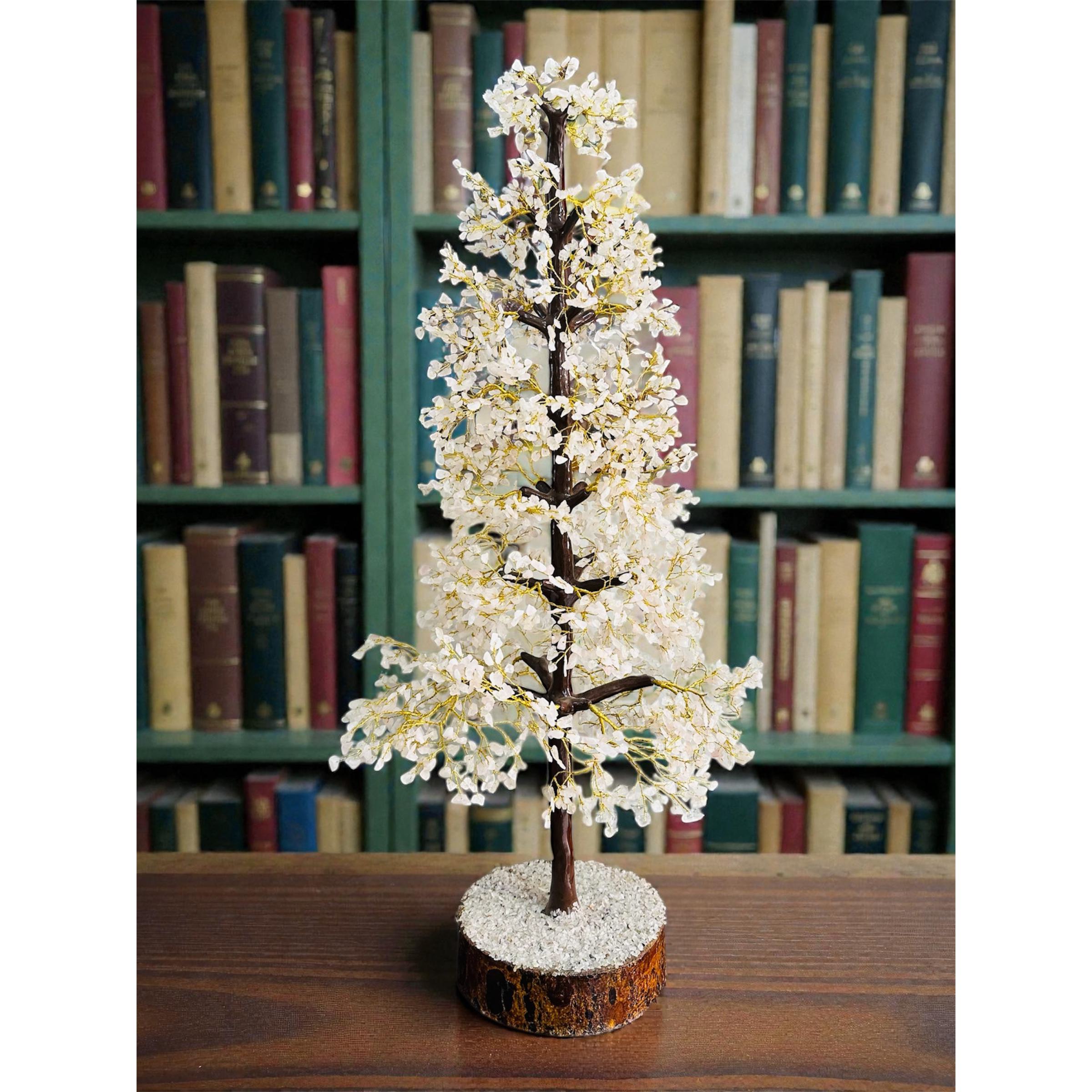 Photoroom_20251216_130036