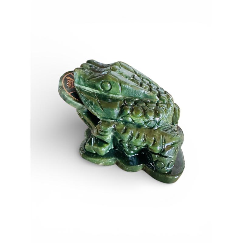 Rana o Sapo de LA SUERTE 🐸