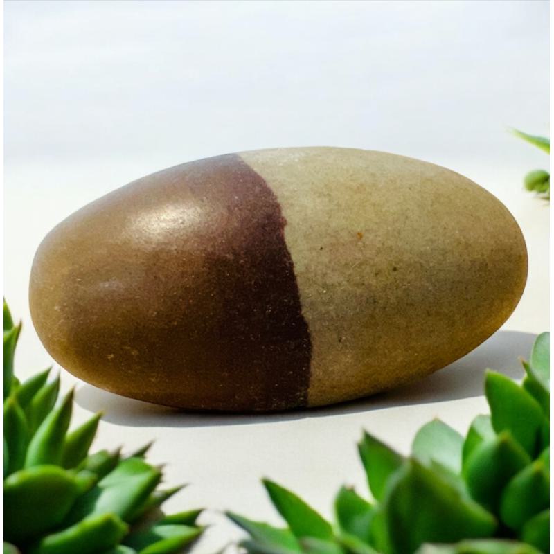 Jaspe Narmada Shiva Lingam
