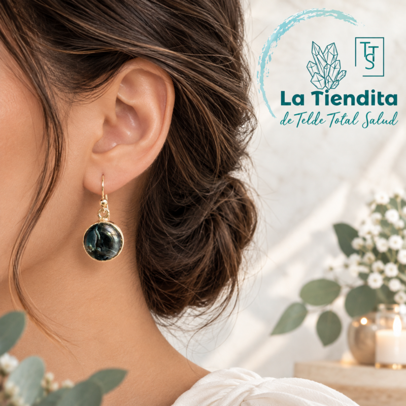Pendientes Pietersita Plata